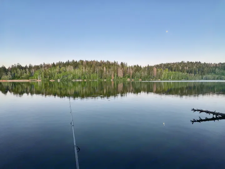 Calm lake reflecting forest & moonlit sky, with a fishing rod. A perfect RV rental adventure spot!. Coachmen Leprechaun 2001