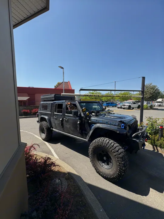 Dog in a black Jeep Gladiator with rooftop tent, ideal for an rv rental adventure or overland trip.. Dodge Jeep Unlimited X 4x4 2021