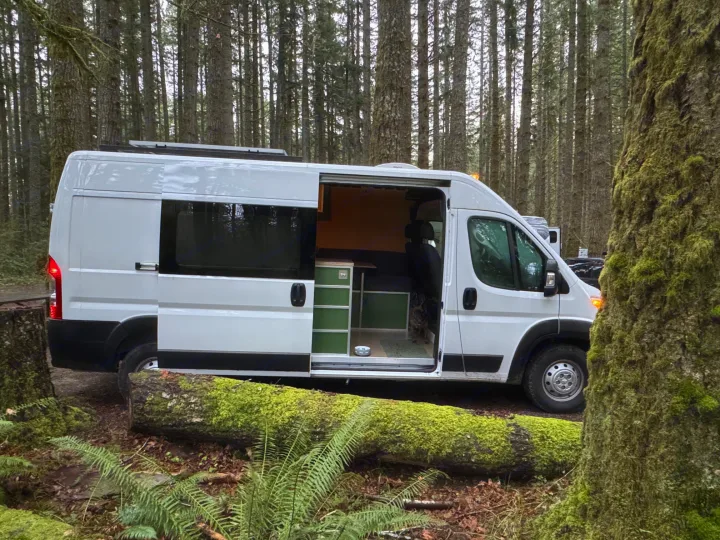 White camper van parked in a mossy forest. Perfect for an RV rental adventure with your furry friend!. Dodge B Van 2023