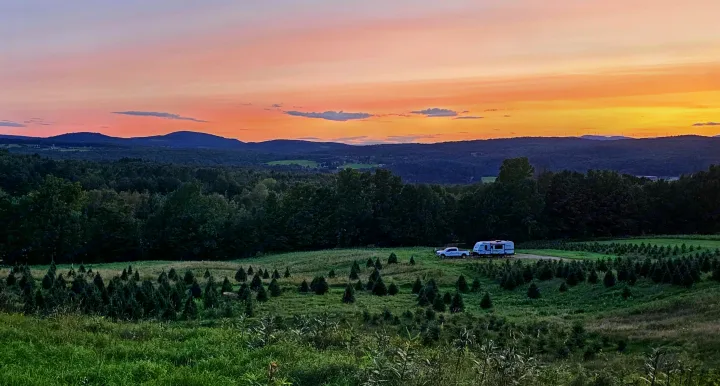 Experience stunning sunsets and nature with an RV rental! A truck and travel trailer are parked in a field of young trees against a vibrant sky.. Winnebago Minnie 2201MB 2022