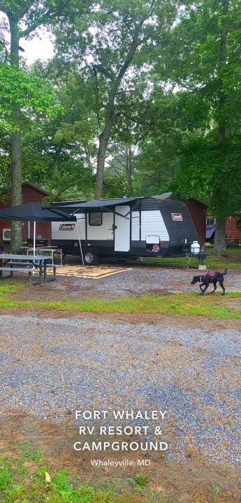 Fort Whaley RV Resort: A modern RV rental, picnic setup, & dog on a gravel site. Perfect for camping & leisure travel.. Dutchmen Coleman Lantern LT 2021