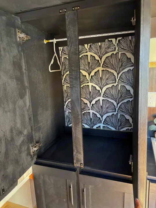 Stylish black cabinet in RV rental, featuring a hanging rod, hanger, and ginkgo leaf wallpaper for clever storage.. Ram Promaster 2022