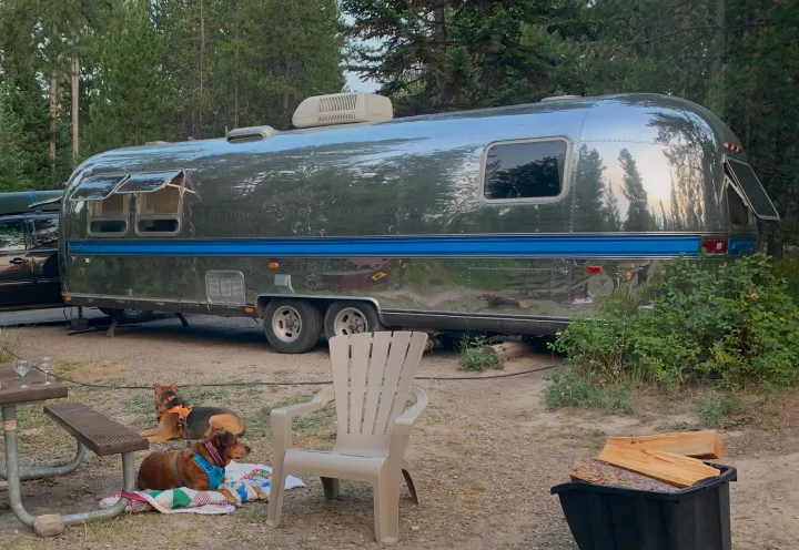 RV rental glamping: A polished aluminum travel trailer at a serene campsite with relaxing dogs, wine, and firewood.. Airstream Excella 1981