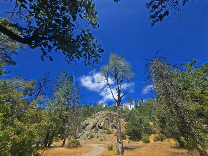 Perfect for an RV rental adventure: a serene natural landscape with a dirt path, diverse trees, and a rocky hillside under a blue sky.. Entegra Launch Sprinter High Roof AWD 4x4 Camper Van 2025