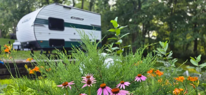 Enjoy nature's beauty with an RV rental! Pink coneflowers and orange lilies frame a cozy camper amidst green trees.. Sunset Park RV Sun Lite LTD 13MJ 2025