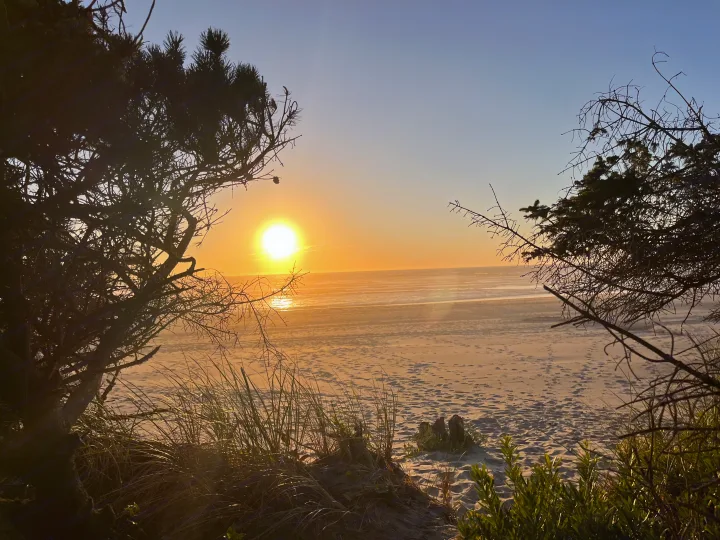Framed by dark trees and coastal grasses, a vibrant beach sunset lights up the ocean and sandy shore. Ideal for an RV rental getaway.. Keystone RV Springdale 2022