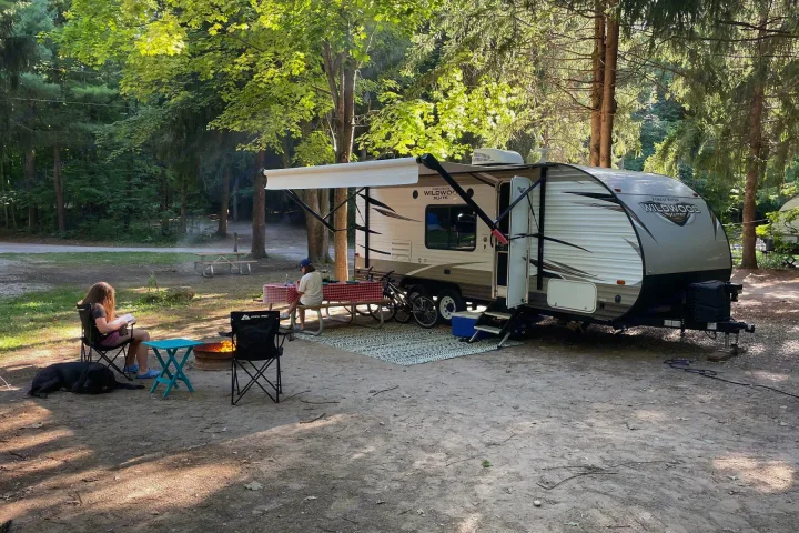 RV rental setup at a wooded campsite: two people, dog, and campfire create a relaxing outdoor scene.. Forest River Wildwood X-Lite 2018