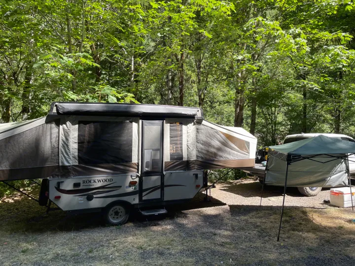 A Rockwood Freedom pop-up camper, an RV rental, is fully deployed at a sunny forest campsite.. Rock wood 1940 LTD 2016