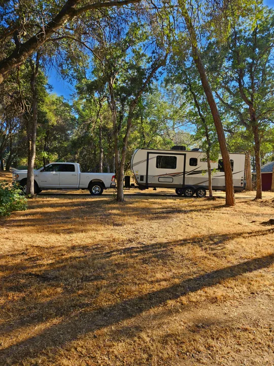 White pickup truck with an RV rental parked at a sunny campsite amidst trees and dry grass.. Forest River Rockwood Mini Lite 2021