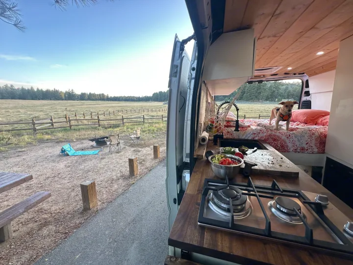 Your next RV rental: Camper van kitchen with fresh salad, dog on bed, and a scenic campsite with fire pit.. Dodge Ram ProMaster 2021