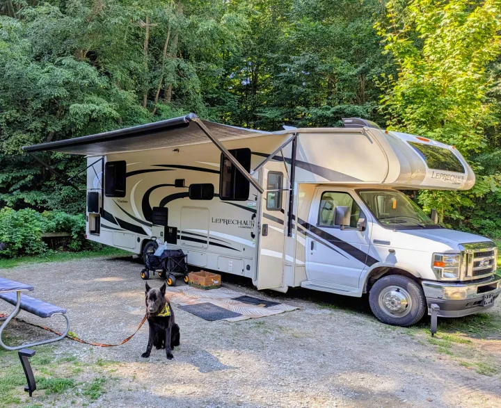 A black dog poses in front of a parked rv rental with an extended awning on a gravel campsite, surrounded by green trees.. Coachmen Leprechaun 2021