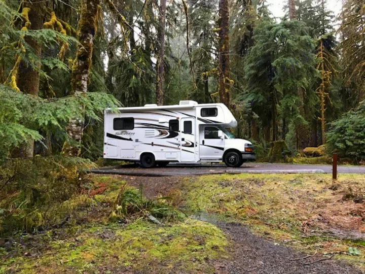 RV rental parked in a lush, mossy forest campsite, surrounded by tall evergreen trees on a cloudy day.. Thor Freedom Elite 2021