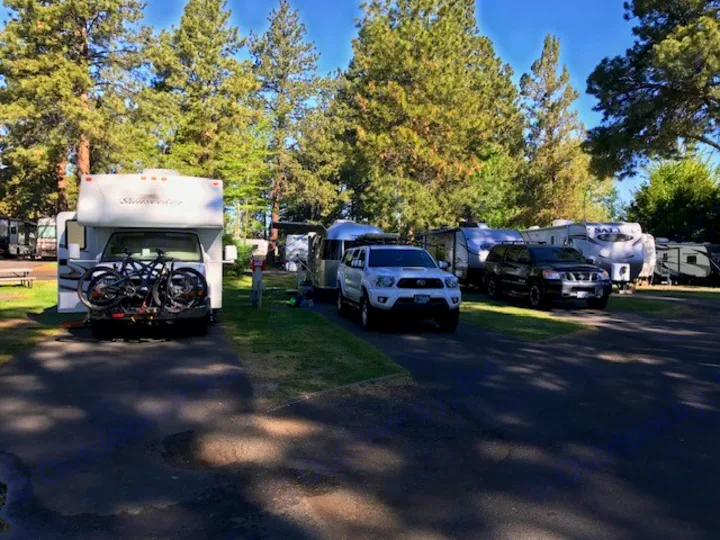 Enjoy an RV rental: a Sunseeker motorhome with bikes, parked among other RVs at a sunny pine-lined campground.. Thor Freedom Elite 2021