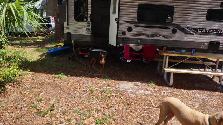 An RV rental travel trailer is parked at a shaded campsite, with two dogs, a blue kayak, and a picnic table setup.. Forest River Catalina 2024