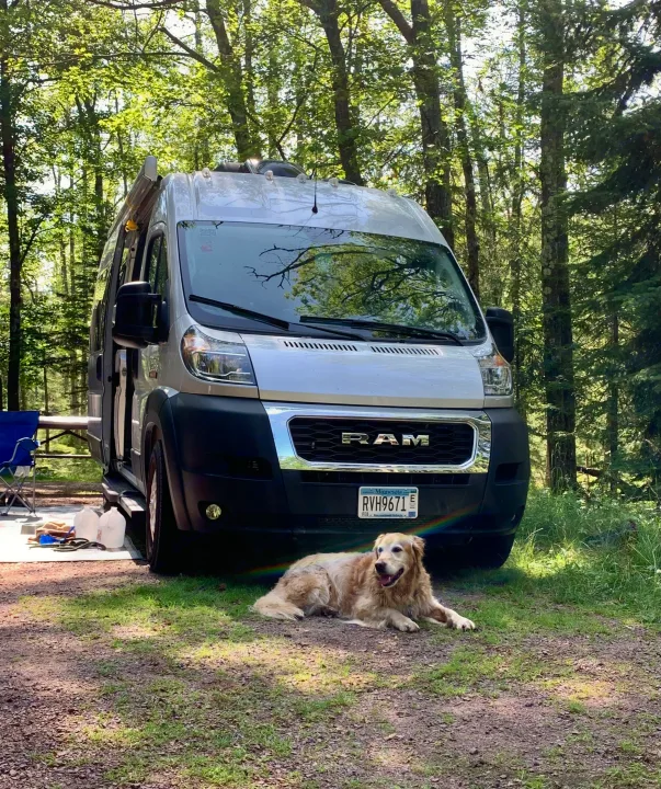 A happy golden retriever lounges in front of a silver RV rental camper van at a wooded campsite.. Thor Rize 2022
