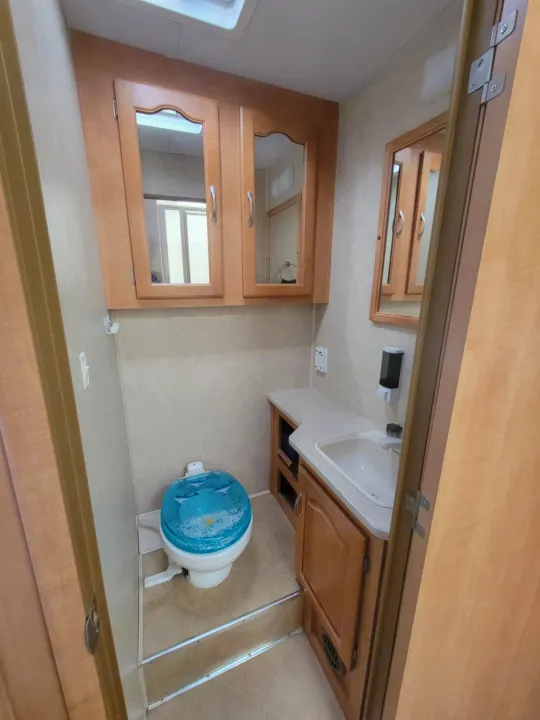Inside an RV rental bathroom, showing a sink, vanity, mirrored cabinets, and a toilet with a blue dolphin seat.. Forest River Sunseeker LE 2006