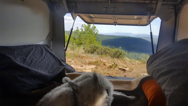 Cozy RV rental view: pet enjoys a mountain forest vista from the open camper hatch, overlooking scenic peaks.. Cricket standard 2013