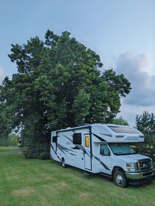 An Entegra Odyssey **rv rental** is parked on grass next to a large tree at dusk, with cozy light visible inside.. Entegra Coach Odyssey 2024