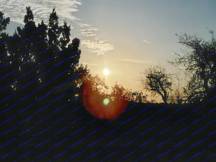 Experience this vibrant sunset over silhouetted trees, glowing clouds, and faint stars from your RV rental.. Winnebago Revel 2025