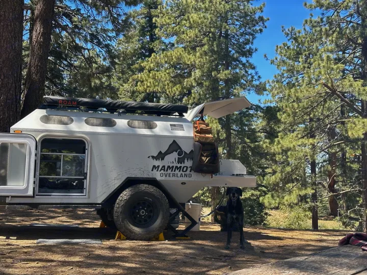 Mammoth Overland RV rental: A rugged trailer with a happy black dog awaits adventure in a sunny pine forest campsite.. Mammoth Overland HV 2022