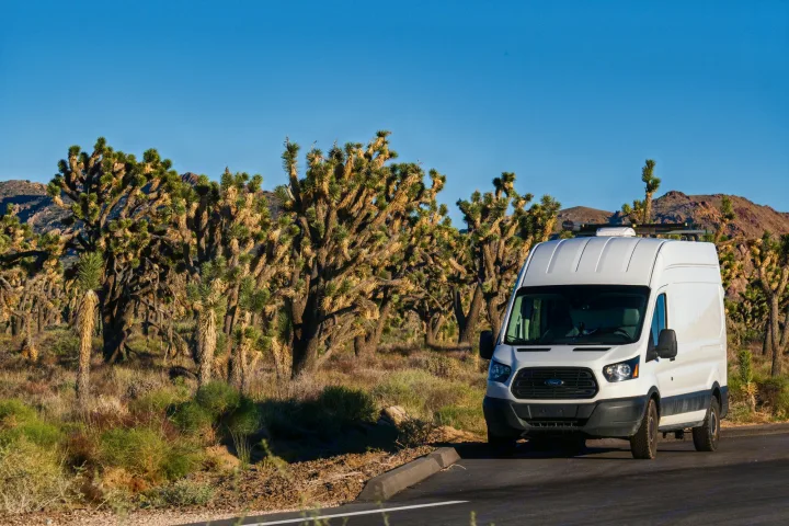 White Ford Transit rv rental van parked among Joshua Trees in a sunny desert. Great for a road trip adventure!. Ford Transit 2019