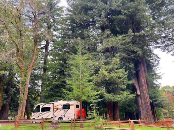 An RV rental nestled among towering redwood trees in a serene campground setting, perfect for nature exploration.. Thor Axis 2020