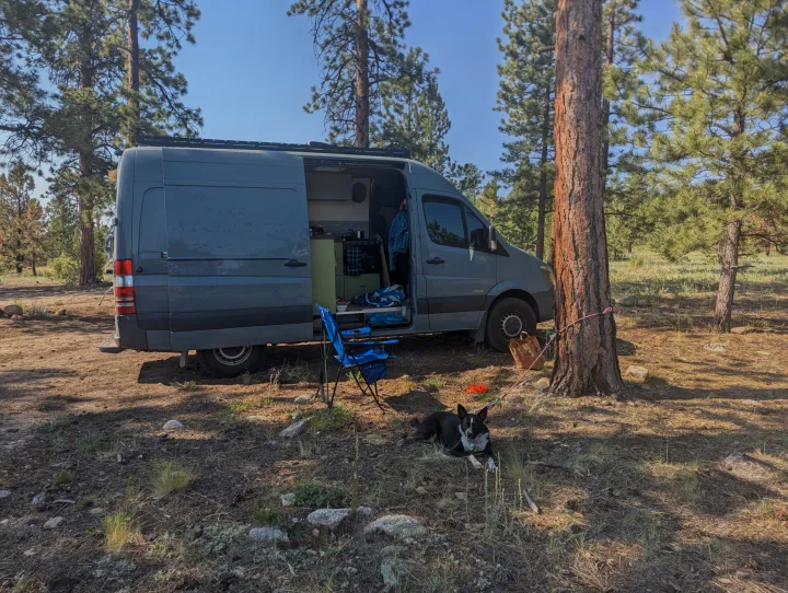 Explore with this rv rental! Gray camper van with open door, dog & chair in a sunny pine forest. Ready for outdoor adventure.. Mercedes-Benz Sprinter 2014