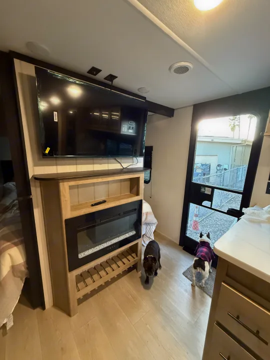 Inside an RV rental: a large TV above an electric fireplace, light wood floor, and two small dogs looking out a door.. Forest River Grey Wolf Black Label 2026