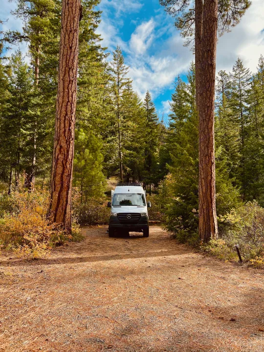 A white Mercedes Sprinter RV rental is parked in a serene forest clearing, framed by tall pine trees and a blue, cloudy sky.. Mercedes-Benz Sprinter 2020
