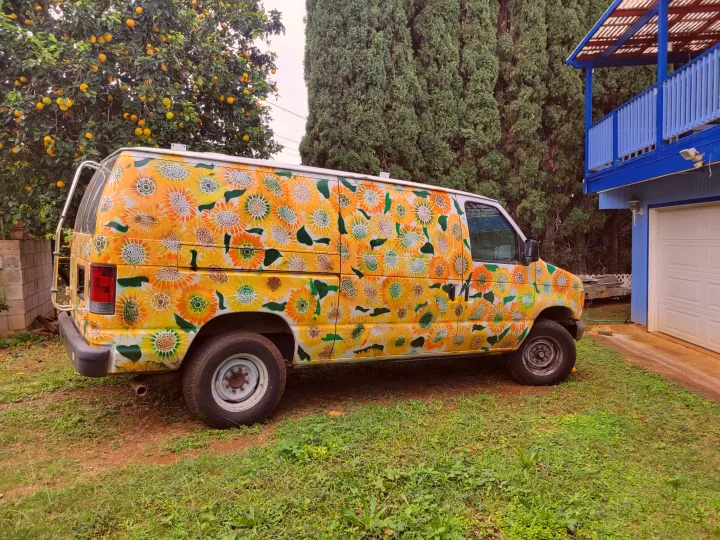 A vibrant, custom sunflower-painted RV rental van sits on green grass, flanked by fruit trees and a blue house.. Ford Econoline 2007