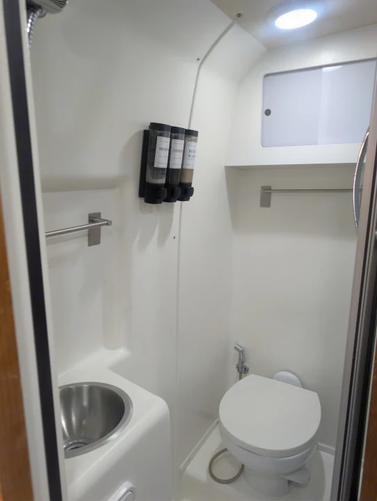This clean, compact bathroom in an RV rental includes a toilet, small sink, shower, and wall-mounted shampoo/soap dispensers.. Winnebago Travato 2018