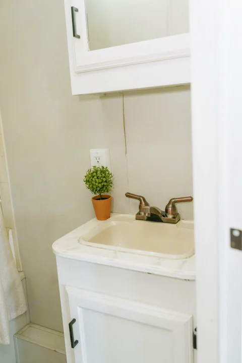 Cozy RV rental bathroom featuring a white vanity, beige sink, bronze faucet, small plant, outlet, and mirror cabinet.. Coachmen Catalina 2012