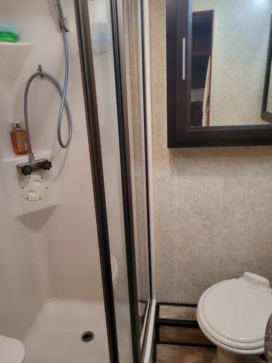 This RV rental bathroom features a compact shower with a handheld head, a Dometic toilet, and a mirrored medicine cabinet.. Georgetown Georgetown Motorhome 2016