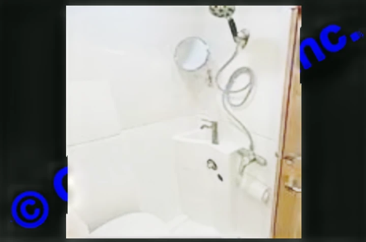 Efficient RV rental wet bath with toilet, integrated sink, and shower. White walls enhance the compact space.. Coachmen Galleria 2020