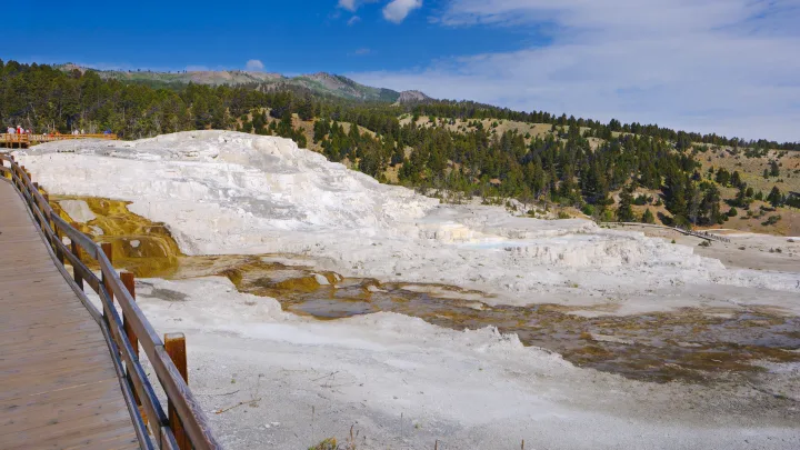 Explore Yellowstone's Mammoth Hot Springs terraces from your RV rental. Boardwalks guide visitors past colorful, mineral-rich pools.. Mercedes Winnebago 2024
