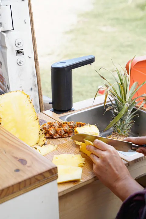 Enjoying fresh pineapple in your RV rental's outdoor kitchen. Perfect for a healthy snack on a camper adventure!. Ford Econolline 250s 2005