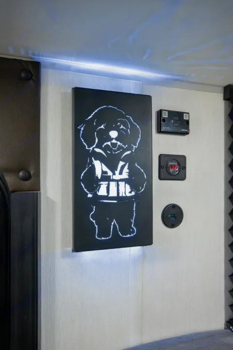 This RV rental features custom LED dog art, accent lighting, a voltage meter, and USB charging ports for convenience.. Forest River Campsite Reserve 17LS 2026