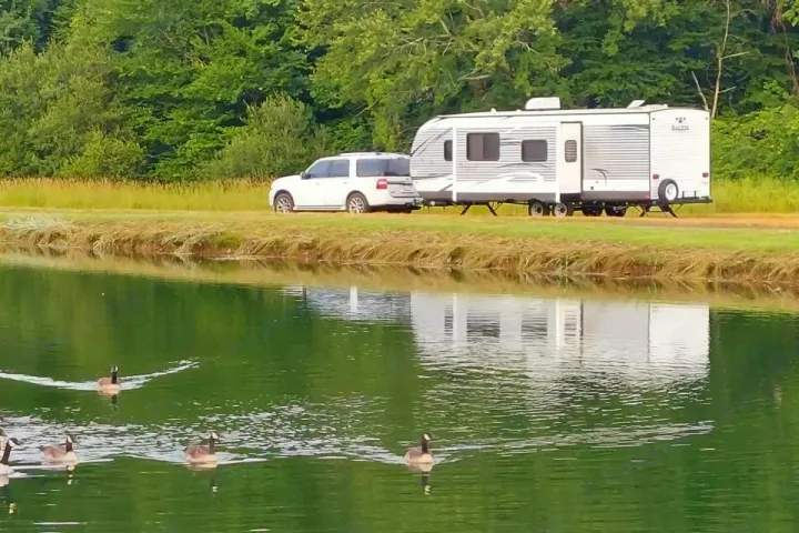 White SUV and RV rental parked by a peaceful pond with swimming geese, reflecting in the water.. Forest River Salem 2018
