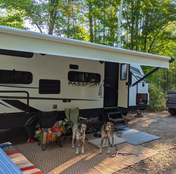 An RV rental travel trailer with an extended awning at a peaceful campsite, two spotted dogs enjoying the outdoor mat.. Keystone RV Passport SL 2021