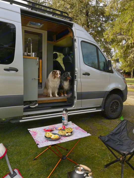 Two Australian Shepherds inside a silver rv rental camper van, with an outdoor breakfast setup and camping chairs.. Mercedes-Benz Sprinter 2020