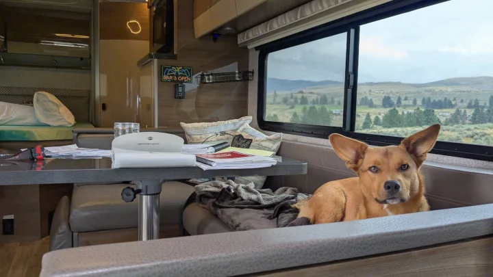 A cute dog rests in a comfy rv rental, enjoying the scenic window view of hills. Perfect for pet-friendly road trips.. Winnebago View 2017