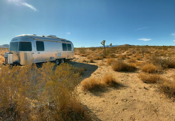 An Airstream RV rental is parked in a sunny desert landscape with sparse plants and distant Joshua trees.. Airstream Flying Cloud 2017
