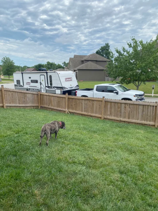 Dog in backyard watching a white Coleman RV rental and pickup truck parked on the street, under cloudy skies.. Dutchmen Coleman Lantern LT 2023