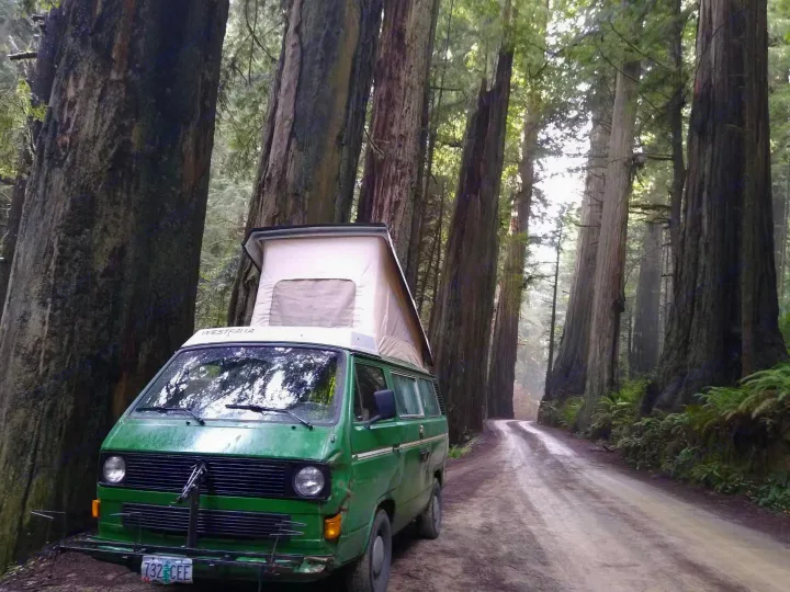 Green VW Westfalia **rv rental** parked on a dirt road in a majestic redwood forest. Pop-top extended for camping.. Volkswagen Vanagon 1984