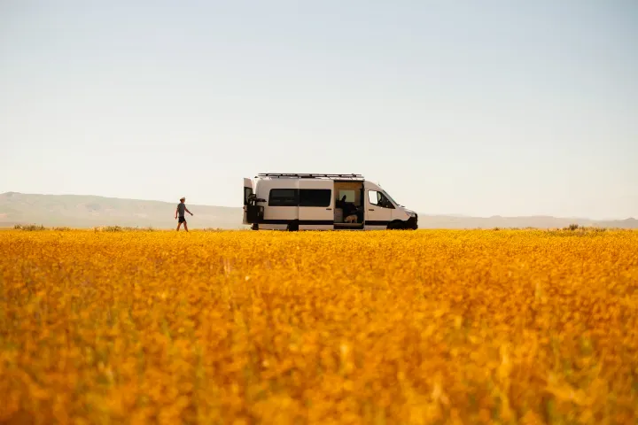 A scenic RV rental adventure: a person walks from a camper van with a dog inside, surrounded by bright yellow flowers.. Custom Crafted Vans Family Van 2019