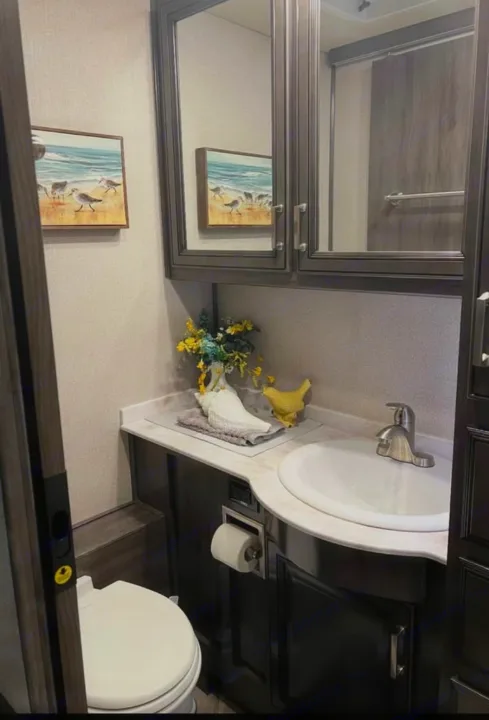 Clean and compact bathroom in an RV rental, featuring a sink, toilet, and mirrored cabinet with beach decor.. Southwind Southwind Motorhome 2020