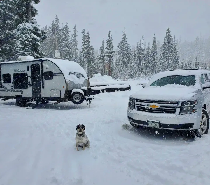 Snowy winter camping with an RV rental and SUV. A small dog sits in the deep snow, surrounded by frosted trees during a snowfall.. Forest River Cherokee Wolf Pup 2020