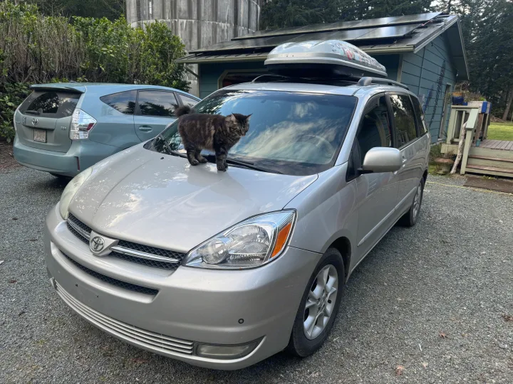 Curious tabby cat on a silver minivan with a roof cargo box, perfect for family adventures like an RV rental trip.. Toyota Sienna Limited XLE Camper Van 2004