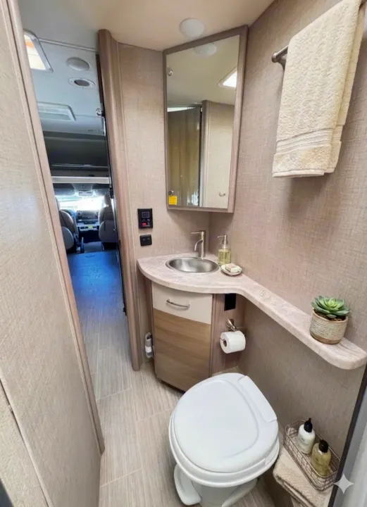 This compact rv rental bathroom shows a toilet, sink, mirror, and shelf with a plant, optimizing space for travel.. Thor Motor Coach Delano 2022