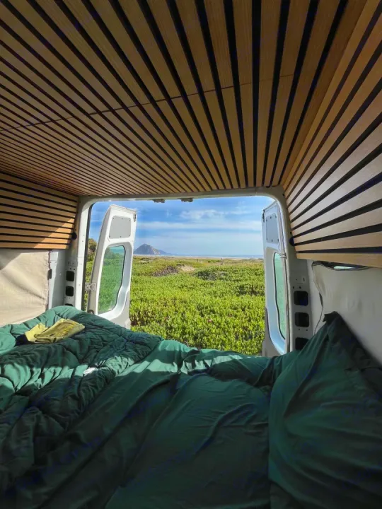 Comfortable RV rental campervan interior with green bed & wood slats, offering a scenic view of lush fields & ocean.. Mercedes-Benz Sprinter 2008